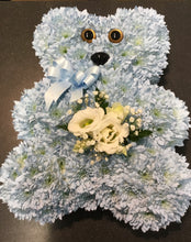 Load image into Gallery viewer, Teddy prices from
