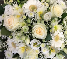 Load image into Gallery viewer, Cushion & Pillow prices from