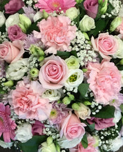 Load image into Gallery viewer, Cushion & Pillow prices from