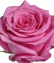 Load image into Gallery viewer, Simple Rose Tied Sheaf prices from
